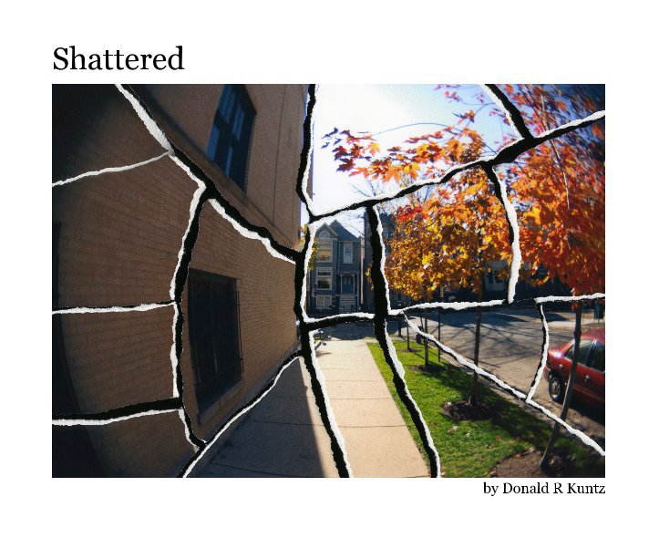 View Shattered by Donald R Kuntz