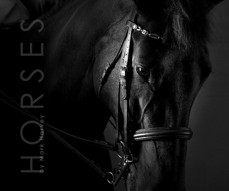 Visualizza HORSES 10" x 8" di Mark Harvey