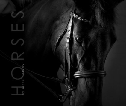 HORSES 13" X 11" book cover