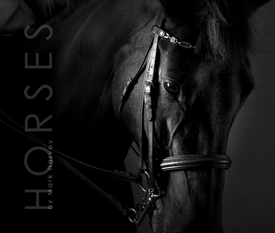 View HORSES 13" X 11" by Mark Harvey