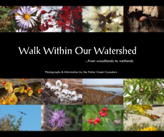 Walk Within Our Watershed book cover