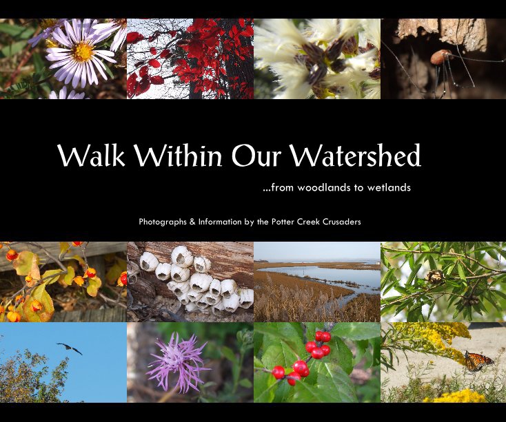 View Walk Within Our Watershed by The Potter Creek Crusaders