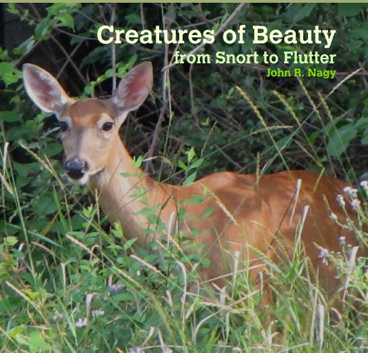 View Creatures of Beauty
from Snort to Flutter
John R. Nagy by nagsblrb