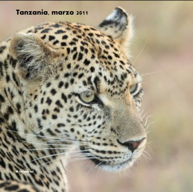 Tanzania, marzo 2011 book cover