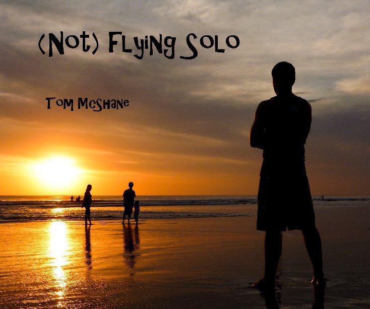 View (Not) Flying Solo by Tom McShane