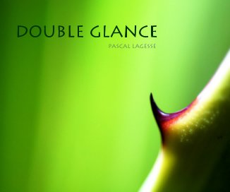 Double Glance book cover