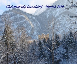 Christmas trip Dusseldorf - Munich 2010 book cover