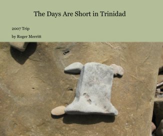 The Days Are Short in Trinidad book cover