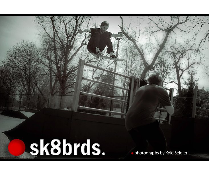 View sk8brds. by Kyle Seidler