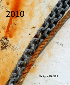 2010 book cover