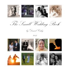 The Small Wedding Book book cover