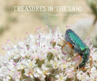 TREASURES IN THE SAND book cover