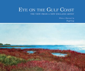 Eye on the Gulf Coast book cover