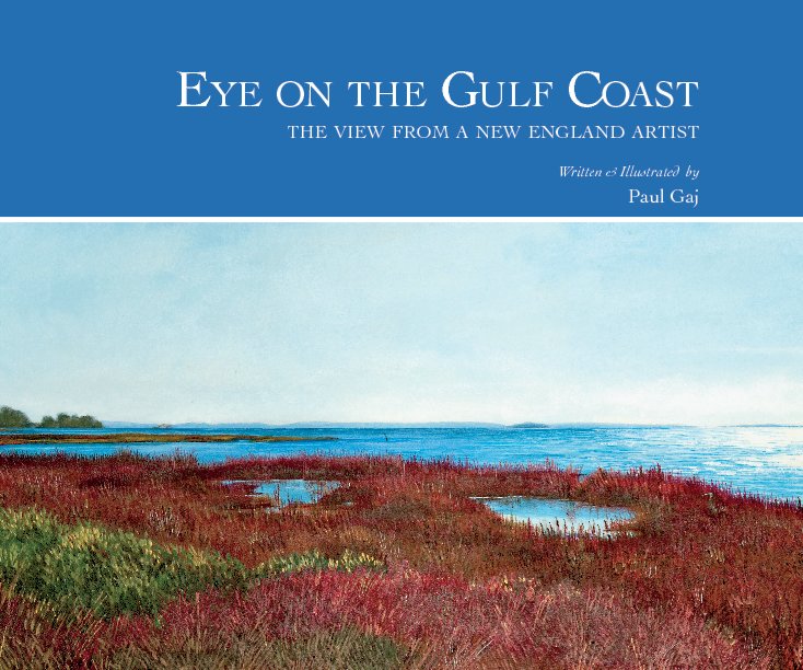 View Eye on the Gulf Coast by Paul Gaj