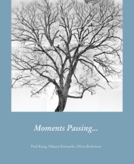 Moments Passing... book cover