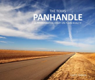 The Texas Panhandle book cover