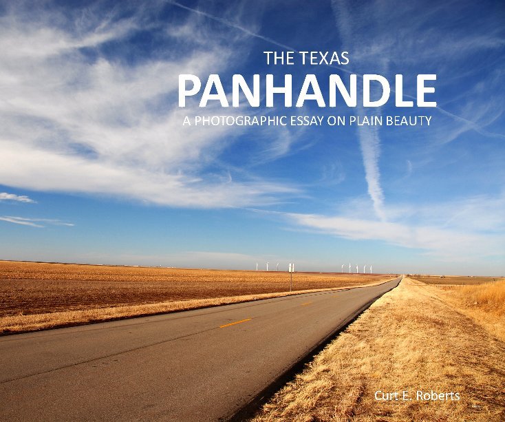 View The Texas Panhandle by Curt E. Roberts