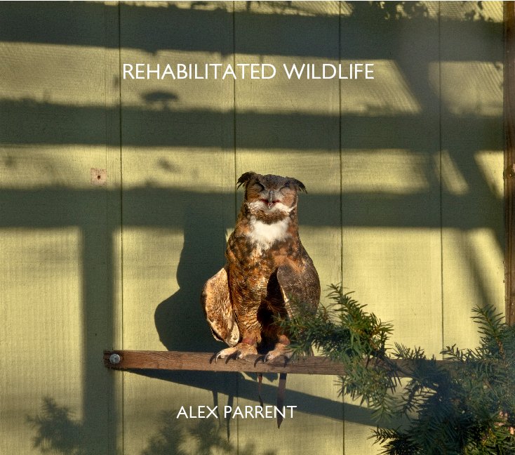 View Rehabilitated Wildlife by Alex Parrent