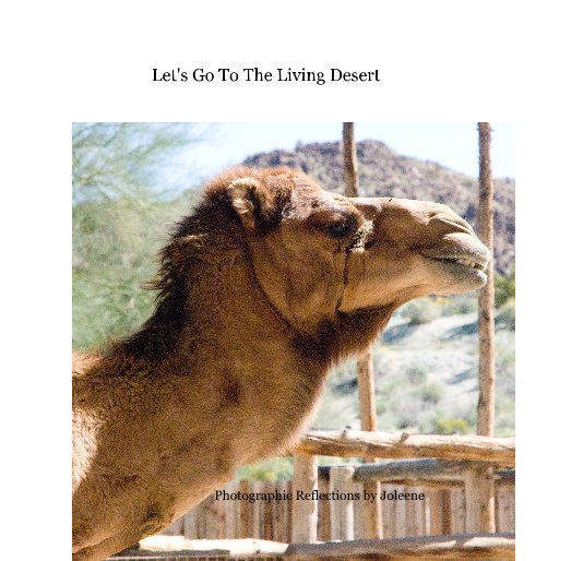 View Let's Go To The Living Desert by Photographic Reflections by Joleene