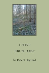 A Thought From The Moment book cover