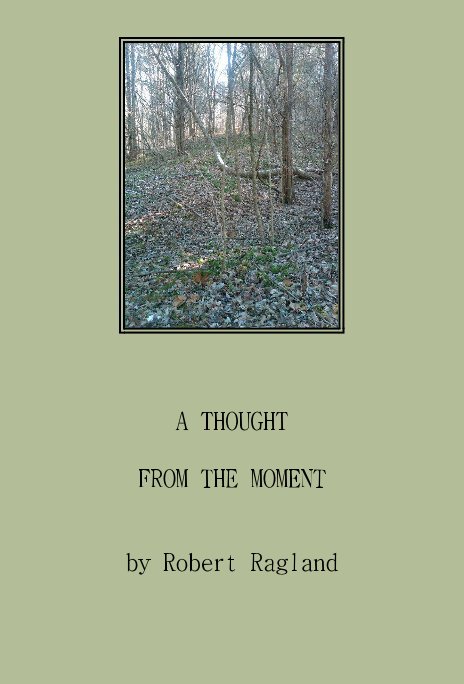 Visualizza A Thought From The Moment di Robert Ragland