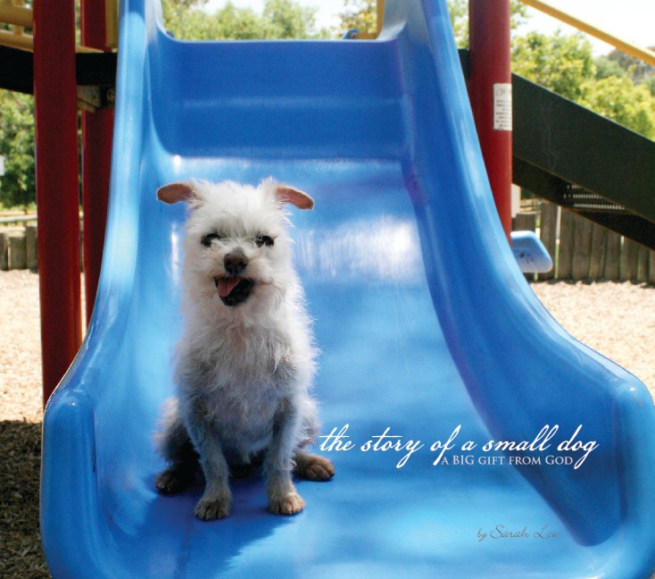 View the story of a small dog by Sarah Lew