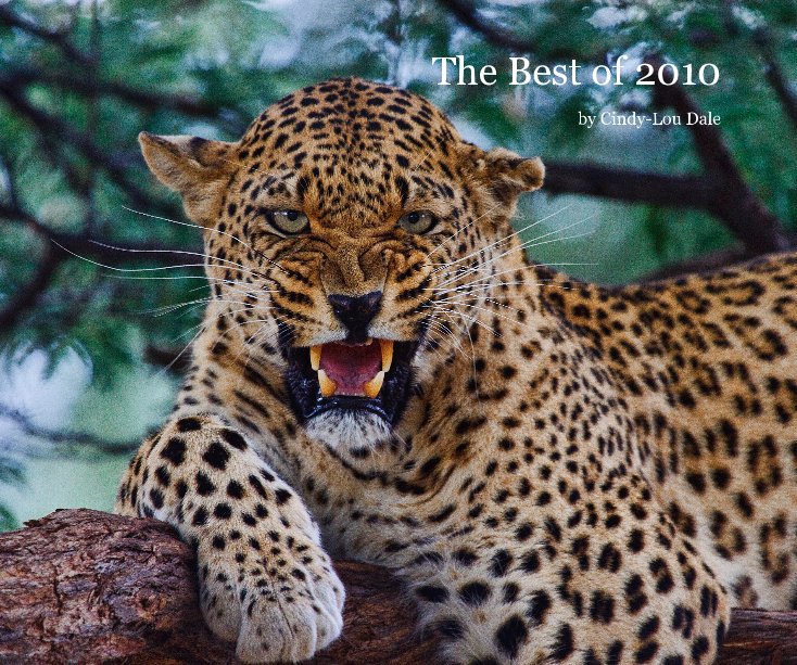 View The Best of 2010 by by Cindy-Lou Dale