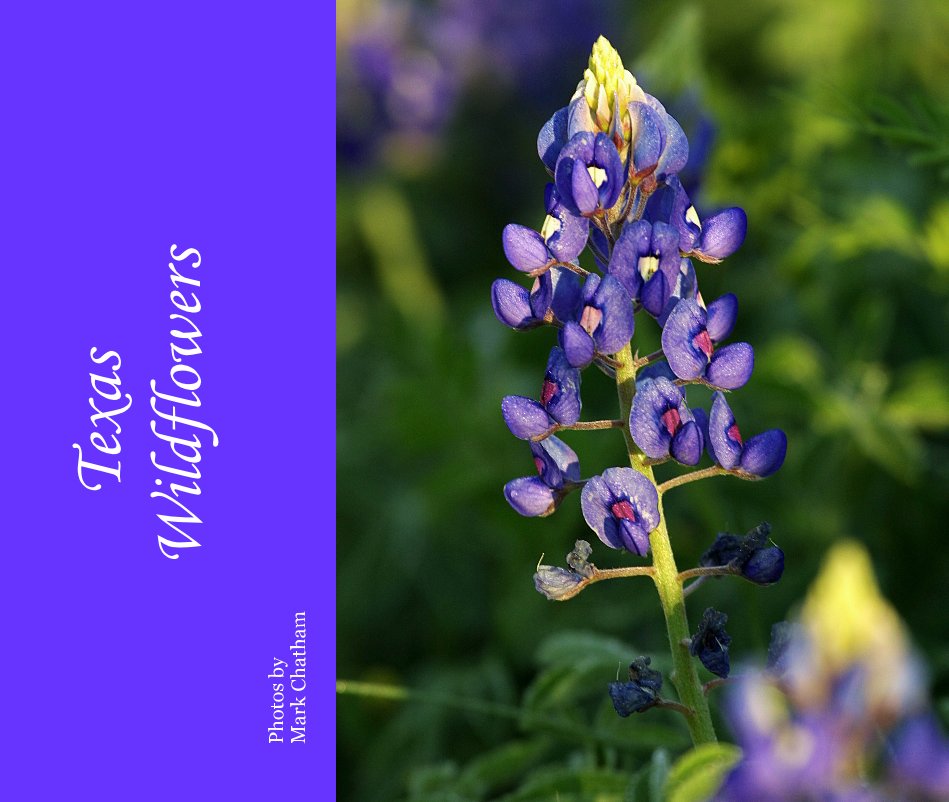 Texas Wildflowers nach Photos by Mark Chatham anzeigen