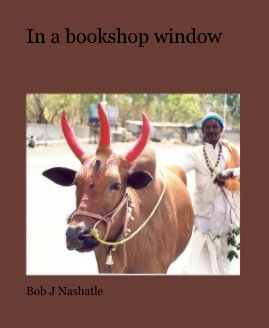 In a bookshop window book cover