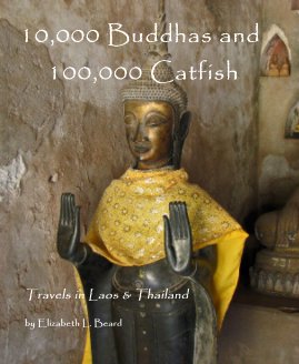 10,000 Buddhas and 100,000 Catfish book cover