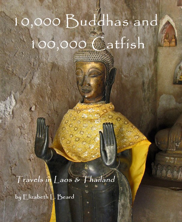 Bekijk 10,000 Buddhas and 100,000 Catfish op Elizabeth L. Beard