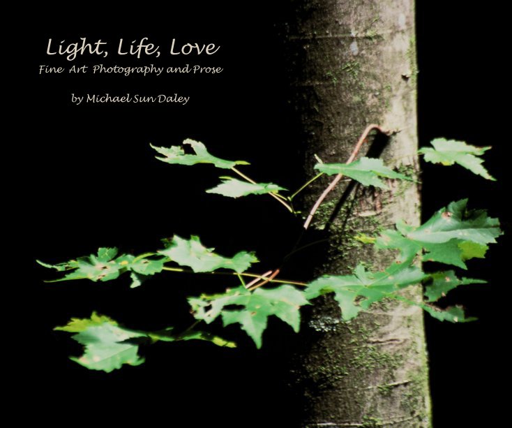 Light, Life, Love nach Michael Sun Daley anzeigen