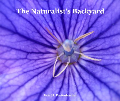 The Naturalist's Backyard Eric H. Diefenbacher book cover