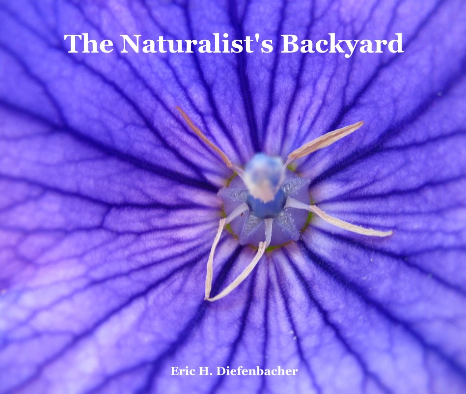 View The Naturalist's Backyard Eric H. Diefenbacher by Eric H. Diefenbacher