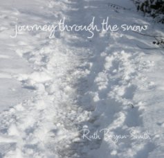 journey through the snow book cover