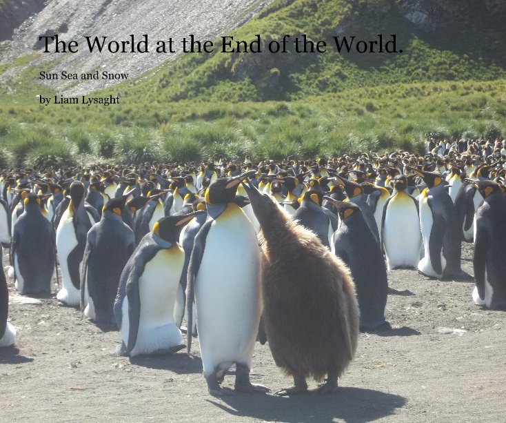 Ver The World at the End of the World. por Liam Lysaght