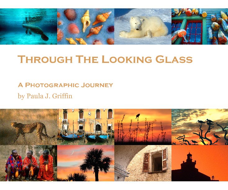 View Through The Looking Glass by Paula J. Griffin