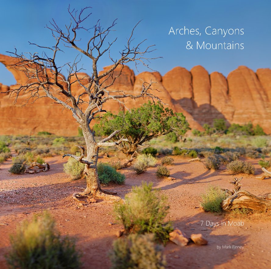 Visualizza Arches, Canyons & Mountains di Mark Finney