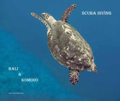 Bali & Komodo book cover