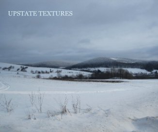 UPSTATE TEXTURES book cover