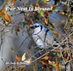 Our Nest Is Blessed book cover