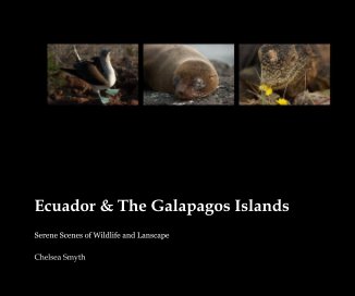 Ecuador & The Galapagos Islands book cover