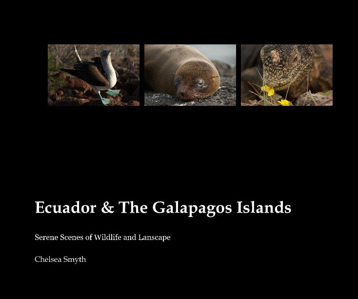View Ecuador & The Galapagos Islands by Chelsea Smyth