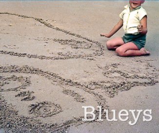 Blueys Beach book cover