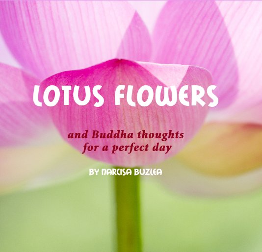 View Lotus flowers by Narcisa Buzlea
