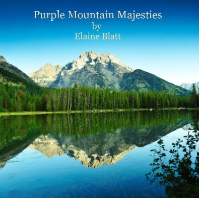 Purple Mountain Majesties by Elaine Blatt book cover