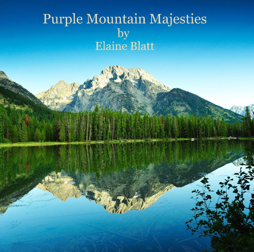 View Purple Mountain Majesties by Elaine Blatt by lanieblatt