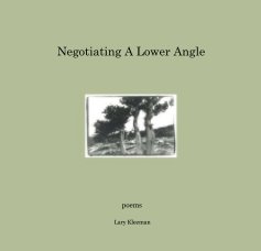 Negotiating A Lower Angle book cover