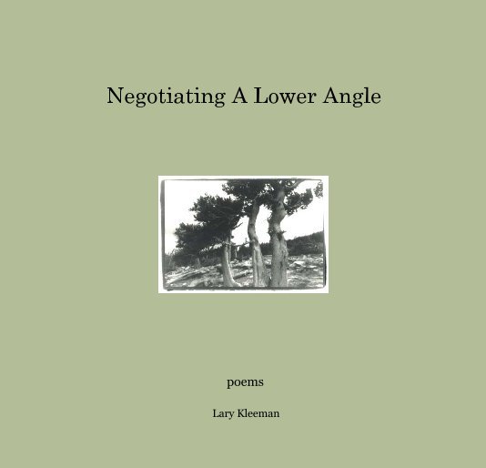 View Negotiating A Lower Angle by Lary Kleeman