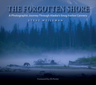The Forgotten Shore book cover